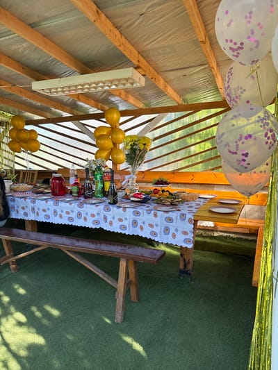 The image captures an outdoor celebration setting in Urmanets, Russia, within a covered wooden structure. The roof comprises wooden beams supporting a translucent, possibly insulated, panel material. A rectangular fluorescent light fixture is centrally mounted on the ceiling. The back and right-side walls are constructed from translucent, corrugated panels, allowing light to filter through and revealing blurred green foliage beyond. The ground is covered with artificial green turf, displaying distinct shadows consistent with outdoor lighting.

A long, dark wooden table, accompanied by two matching wooden benches, is covered with a white tablecloth featuring a repeating pattern of blue and orange oval shapes with a scalloped edge. The table is laden with various food items, including a large round baked dish, multiple bowls of prepared salads or snacks, platters of appetizers or small sandwiches, and bowls of fresh fruit such as grapes, plums, and apples. Beverages present include a large glass jar of red liquid, several bottles of water, a red liquor bottle (partially labeled "WESTERNMAN"), multiple dark bottles of sparkling wine (two identified as "ABRAU DURSO"), and green plastic bottles of soda.

Decorations include clusters of golden yellow balloons positioned on the left and right sides of the structure. Clear balloons filled with purple confetti are visible hanging on the right side. Golden tinsel streamers adorn the far left and right edges of the scene. A person's arm and shoulder, clad in dark clothing, are partially visible on the far left, adjacent to the table. The scene is illuminated by natural light, evidenced by sunlit areas and shadows on the turf.