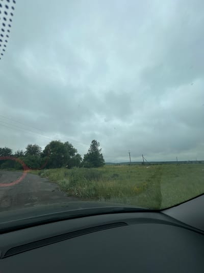The image, taken from inside a vehicle, shows a view through the windshield. Outside, a cloudy, overcast sky dominates the upper half of the frame. Below the sky, a rural landscape unfolds. A paved road, appearing somewhat weathered, curves from the lower left towards the center of the image. Along the left side of the road, dense green vegetation, including trees and tall grass, is visible. A circular red marking is present on the left side of the road, possibly a reflection or a marking. In the distance, several utility poles are scattered across a flat, grassy field that stretches to the horizon. The overall impression is a scene of a rural road in Terny, Ukraine, under a gray sky.