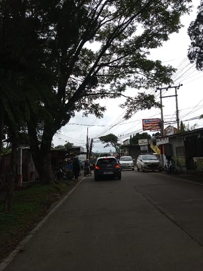 The image depicts a street scene in Melakudikadu, India, under an overcast sky, likely during daytime. A two-lane asphalt road, appearing somewhat damp, recedes into the background. A dark grey hatchback, bearing a visible license plate "B 1832 NM" (a format typically associated with Indonesia), is positioned centrally on the road, facing away from the viewer. Behind it, a white sedan follows. Further right, a white multi-purpose vehicle is parked or moving slowly alongside the road.
The left side of the street is dominated by large, dense-foliaged trees that cast significant shadows over a narrow, unpaved or grassy shoulder. Beneath these trees, several individuals are visible near what appear to be small roadside stalls or structures, with multiple motorcycles parked nearby.
The right side of the street features commercial buildings. A prominent "Alfamart" sign, red and white in color, is mounted on a tall pole. This area is characterized by a dense tangle of overhead utility wires crisscrossing the sky. Another scooter is parked near the right curb in the midground. The environment suggests an urban or semi-urban setting with moderate vehicle and pedestrian presence.