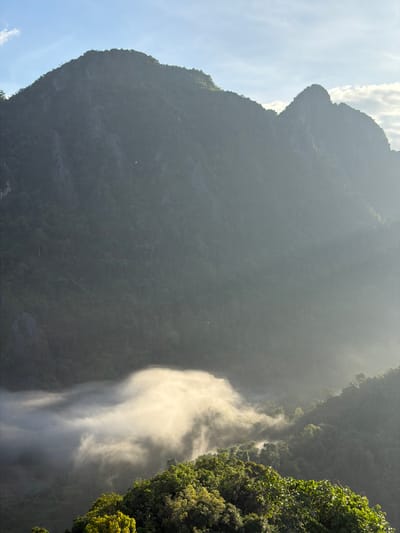 A wide shot captures a misty mountain landscape in the early morning. In the foreground, lush green trees are visible, their leaves catching the sunlight. A thick layer of mist blankets the valley below, partially obscuring the dense forest that covers the slopes of the majestic mountains. The mountains themselves are rugged and imposing, their peaks piercing through the haze. The sky above is a pale blue, with a few wisps of white clouds. The overall scene conveys a sense of tranquility and natural beauty, hinting at the remote and pristine environment of Naka, Laos.