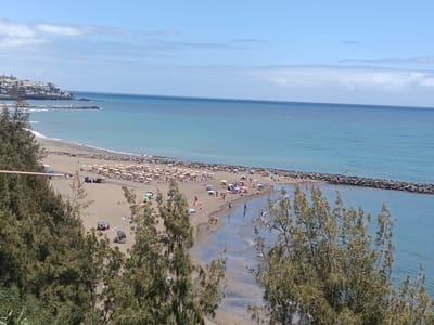 The image captures a beach scene in San Bartolomé de Tirajana, Spain. The scene features a sandy beach with a dense array of beach umbrellas and sunbathers. The beach is framed by green vegetation in the foreground and the blue expanse of the ocean. A breakwater is visible in the water, extending from the beach. The sky is blue with light clouds. In the distance, there's a cluster of buildings along the coastline. People are scattered across the beach, some sunbathing, some walking along the water's edge, and others standing in groups.