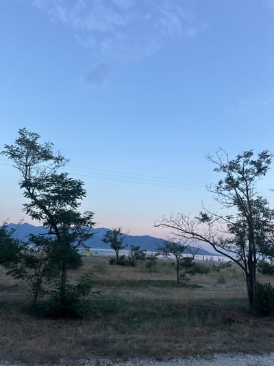 The image depicts a scenic view of the coastline in Keramoti, Greece, during dusk. The sky is a gradient of soft blues and pinks, with a few wispy clouds. In the foreground, dry, golden grass covers the ground, dotted with sparse trees. The trees are silhouetted against the fading light, some with full foliage and others bare and skeletal. Power lines are visible stretching across the frame. In the middle ground, a beach with scattered umbrellas and lounge chairs can be seen, bordering the calm sea. In the background, distant mountains form a hazy outline against the horizon. The overall atmosphere is tranquil and serene, capturing the quiet beauty of the coastal landscape at the end of the day.