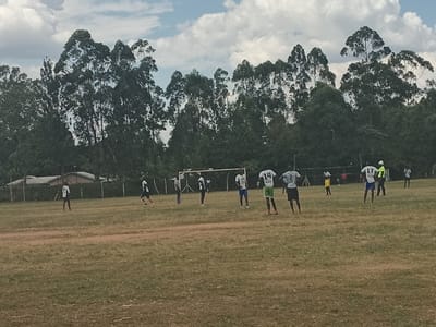 A soccer game is taking place on a grassy field surrounded by tall trees. Players in light-colored jerseys, some with numbers like 14 and 17, are positioned around the field. A soccer goal is visible in the background. Some buildings are visible in the distance. The sky is cloudy. A person in a yellow-green shirt can be seen officiating the game.