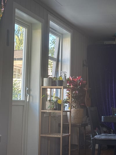The image shows an indoor scene with a window and a shelf filled with plants. The scene is illuminated by natural light coming through the window, suggesting it is daytime. The window offers a view of trees and buildings outside, hinting at a residential or possibly commercial setting.

The shelf unit holds several potted plants with varying foliage. One plant has striking red and green leaves, while others have lighter green leaves and some yellow flowers. A glass vase with a clear handle is also visible on the shelf, along with a cylindrical white pot with a ribbed texture.

In the background, partially obscured, there appears to be a musical instrument, possibly a guitar or a violin, resting on a stand or leaned against a surface. A woven basket is also visible on the shelf. The overall impression is one of a cozy, well-lit interior decorated with greenery. The orientation of the image is rotated, with the top of the scene appearing on the left. No people are visible, and there is no visible text. The location context of Moelv, Norway, suggests the view outside the window might be typical of the region.