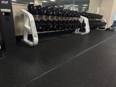 The image shows a weight rack in a gym. The rack is white with the word "PRECOR" and "USA" printed on the side. It holds two rows of black dumbbells, ranging in weight from 35 to 110 pounds. Each dumbbell has an orange tiger logo. A black Purell dispenser is next to the weight rack. The floor is black rubber matting. In the background is a mirrored wall that reflects gym equipment and windows. Based on the orange tiger logo on the weights, the location is likely a gym at the University of Rochester, located in the city of Rochester, United States of America.
