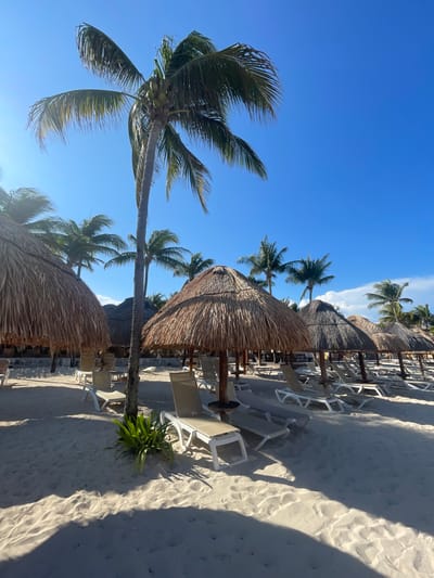 The scene is a sunny beach in Playa del Carmen, Mexico, featuring rows of thatched-roof umbrellas providing shade over lounge chairs on a white sandy beach. Several palm trees are visible against a clear blue sky, and their shadows stretch across the sand. No people are readily apparent in the immediate view. The overall environment suggests a resort or vacation setting.