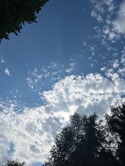 The image depicts a view of a blue sky with scattered white clouds, partially obscured by dark silhouettes of trees in the foreground. The sun is visible through the clouds, creating a bright glow. The scene is a natural landscape, likely a park or forest, with no discernible human activity or urban elements. The location in Tolbazikha, Russia, is not visually indicated by any specific landmarks or features within the image itself.