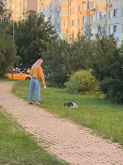 A young woman with long blonde hair stands on a paved path, holding a leash attached to a black and white dog that is partially visible in the grass. She is wearing a yellow jacket and blue jeans. The scene appears to be outdoors in a park-like setting, with lush green grass and trees surrounding the path. In the background, a tall apartment building with many windows is visible. A bright yellow car is parked on the side of the path, behind the woman. The lighting suggests it is late afternoon or early evening, with the sun casting a warm glow on the building. The overall atmosphere seems calm and peaceful, with the woman and her dog enjoying a leisurely walk. There is no visible text in the image.