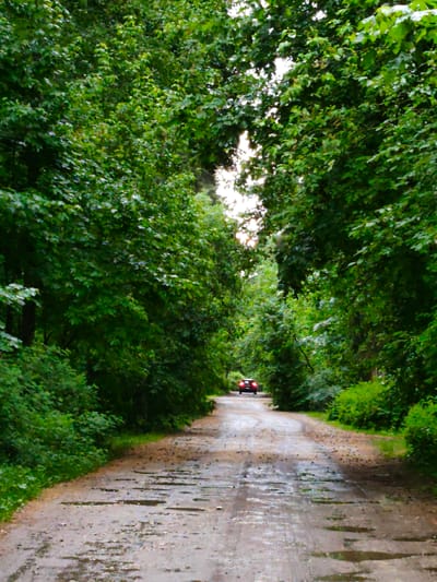 The image depicts a wet, unpaved road leading through a dense forest canopy, presumably in the Kratovo, Russia area. Light peeks through the trees in the distance. A red car is visible further down the road, moving away from the viewer. The road's surface shows puddles and scattered debris, suggesting recent rainfall. The lush greenery on either side of the road forms a natural tunnel.