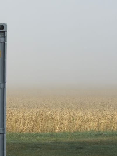 The image depicts a close-up view of a field transitioning from dry, golden stalks to lush green grass. The left side of the image is dominated by a light, overcast sky, creating a soft, diffused light. The field itself shows a distinct line where the dry vegetation meets the green. The dry portion appears to be harvested or past its peak growth, with individual stalks clearly visible and catching the light. The green portion is a vibrant, healthy-looking grass, with a subtle texture indicating it is also likely a field or pasture.
In the foreground, a dark gray, metallic structure is visible, suggesting it could be part of a fence, a piece of farm equipment, or a container. This structure has visible seams and rivets, indicating a manufactured object. A small yellow label is partially visible on this structure, but the text is illegible.
The scene appears to be outdoors, likely in a rural setting, given the field. The lighting suggests it could be daytime, possibly overcast or early morning/late afternoon, as there are no strong shadows. The combination of dry and green fields might indicate different stages of growth or different types of crops/pasture. There are no people or animals visible in the frame. The overall mood is quiet and observational, focusing on the natural landscape and the man-made structure. The location context provided places this scene in Mattituck, United States of America, which is known for its agricultural areas, including vineyards and farms, consistent with the visual elements.
