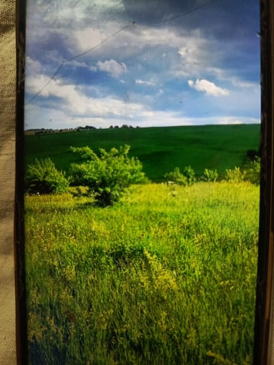 The image depicts a rural landscape with rolling green hills under a bright blue sky with scattered white clouds. In the foreground, there is a field of tall, green grass interspersed with small yellow wildflowers. Several green bushes and small trees are scattered throughout this field. In the midground, a large, gently sloping green field stretches towards a tree line in the distance, behind which more rolling hills are visible. The scene appears to be set in a natural environment, possibly a park or countryside. The image's frame suggests it might be a photograph taken on a mobile device, as there are visible artifacts resembling a screen and a crack. There are no people or specific landmarks visible that would indicate a precise location within the city of Svoboda, Russia.