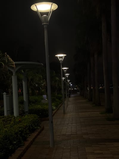 An image taken at night shows a pedestrian walkway lined with palm trees and lampposts. The walkway is paved with rectangular bricks. In the foreground, a lamppost with a wide, conical shade is illuminated. Further down the walkway, more lampposts are visible, casting pools of light on the path. The palm trees are tall and slender, with dark trunks. To the left of the walkway, there is lush green vegetation, and a covered structure with pillars. In the distance, a faint glow suggests a city skyline. The overall impression is one of a well-lit and maintained public space at night. The presence of palm trees and the distant city lights are consistent with a location in Hong Kong, China.