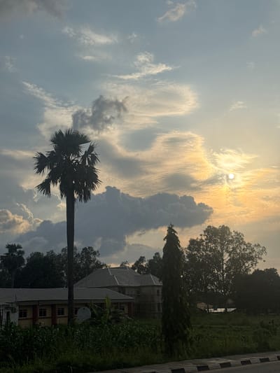 This media file is a vertical, full-shot photograph of a tropical landscape at sunset in Amansee, Nigeria. The scene is dominated by a dramatic sky filled with a mix of wispy cirrus clouds and darker, more voluminous cumulus clouds. The sun, partially obscured by these clouds, casts a warm, golden glow across the upper portion of the sky, creating streaks of light and highlighting the cloud formations.
In the foreground, a solitary palm tree with a distinctive fan-shaped crown stands silhouetted against the sky. Its trunk is tall and slender, and its fronds are spread wide, appearing windswept. To the right of the palm tree, a modern building with a grey, pitched roof and light-colored walls is visible, peeking out from behind dense green foliage. The building has multiple windows, and a satellite dish is mounted on one of its exterior walls. The surrounding vegetation is lush and green, suggesting a humid climate. A paved road with a black and white striped border runs along the far right edge of the frame, indicating the presence of infrastructure.
The overall mood of the image is serene and somewhat dramatic, due to the striking sunset and the imposing silhouette of the palm tree. The time of day is clearly sunset, indicated by the warm, low-angled light and the color of the sky. There is no visible text in the image.