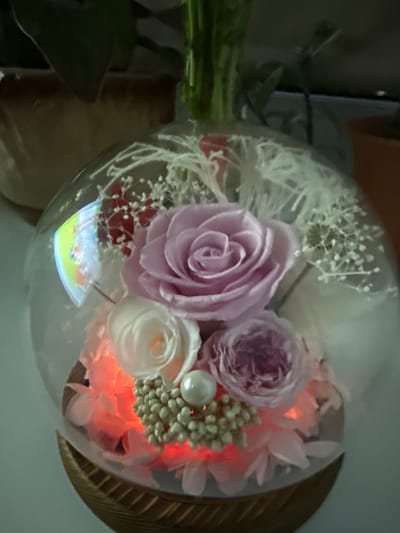 A preserved flower arrangement sits in a clear glass dome, illuminated by a soft red light from within. The arrangement features a large, light purple rose at the top, with smaller white and pink roses below. Tiny white filler flowers and red accents are scattered throughout. A single pearl is positioned in the center of a cluster of small, light-colored beads. The dome is supported by a wooden base. The background is dark and out of focus, suggesting an indoor setting. There is no indication of the city of Cheboksary, Russia.