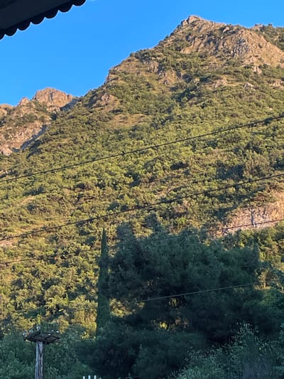 The image shows a steeply sloped, wooded mountainside bathed in the warm light of what appears to be late afternoon or early morning. The trees are dense and a vibrant green, covering much of the rocky terrain. Several power lines, stretched taut, run diagonally across the frame, cutting through the foliage. One of the lines is attached to a wooden utility pole with insulators, visible on the right side of the image. The lower left corner reveals a portion of a dark, textured roof with a scalloped edge, suggesting a man-made structure. In the distance, the clear blue sky provides a stark contrast to the earthy tones of the mountain. The natural, rugged landscape, combined with the presence of the power lines and roof, hints at a rural or semi-rural setting, possibly on the outskirts of a town or village. The lighting suggests clear weather conditions. The image does not contain any visible text or people, nor is there any discernible activity or event taking place. The overall impression is one of serene natural beauty, with a touch of human infrastructure integrated into the environment.