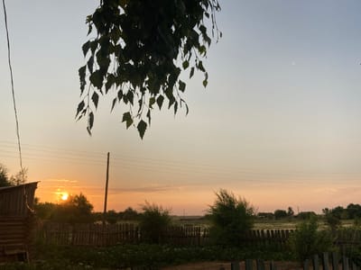 The image depicts a rural landscape at dusk, likely in or near the village of Rakity, Russia. The foreground features a rustic wooden fence surrounding a garden area with some low-lying green plants, possibly potato plants, visible. To the left, a portion of a log cabin is visible, with a wooden chair placed near it. A utility pole stands to the right of the cabin, with power lines stretching across the middle ground. Beyond the fence and cabin, a line of trees and bushes is silhouetted against the setting sun, which is a bright orange orb peeking through the trees. The sky is a gradient of pale yellow and orange, transitioning to a light blue towards the top. The background shows a few scattered houses and more trees in the distance. Overhanging the scene from the top left is a branch with dark green leaves, casting a shadow on the sky. The overall impression is one of a peaceful, rural evening.