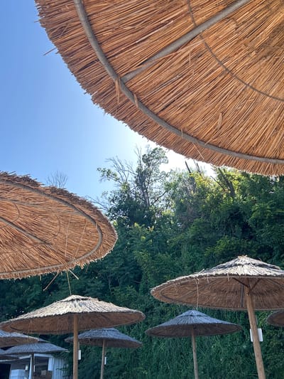 An outdoor scene captures several thatched umbrellas providing shade beneath a clear blue sky. In the foreground, the underside of two large thatched umbrellas is visible, their woven straw material catching the sunlight. Behind these, a row of smaller, fully erected thatched umbrellas stands on wooden poles. The background is dominated by lush green foliage, suggesting a natural environment. The umbrellas and greenery indicate a beach or resort setting. The image is taken at a resort in Chernomorets, Bulgaria.