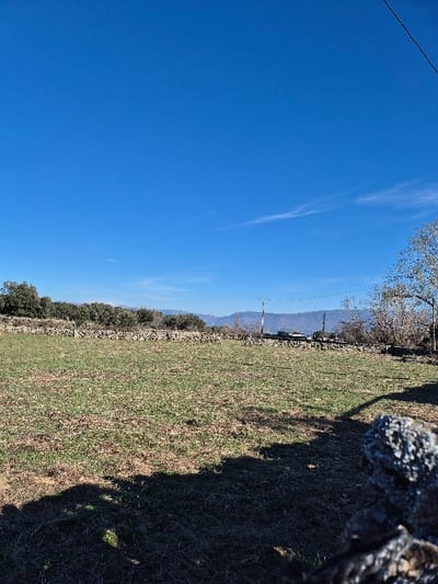 The scene is an outdoor rural landscape in Collado Del Mirón, Spain, captured under a bright, clear blue sky with faint cirrus cloud wisps. The foreground presents a sparse, irregular grassy field with mixed green and brown vegetation, traversed by long, dark shadows originating from the left. A blurred, grey, rough-textured stone element occupies the lower right corner. A dry-stacked stone wall, approximately 0.7-1 meter in height, extends horizontally across the midground, delineating the field. Beyond this wall, dense tree lines and brush are visible, with a prominent deciduous tree exhibiting bare branches on the right. The distant background features undulating mountain ranges. Two utility poles with multiple overhead lines are visible above the horizon in the far midground. No individuals or animate subjects are present.