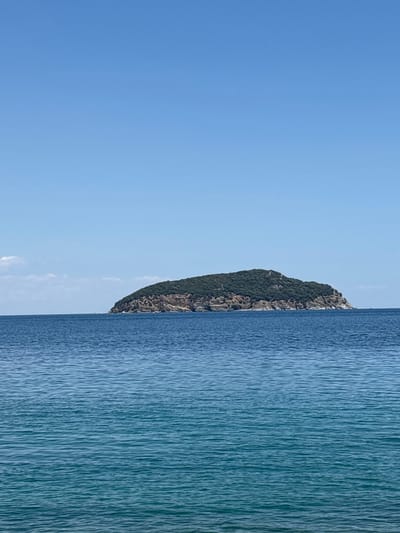 The image depicts a serene coastal landscape under a clear, bright blue sky. In the foreground, the deep blue sea stretches out, with gentle ripples creating a textured surface. In the mid-ground, a verdant, uninhabited island rises from the water. The island is covered in dense green foliage, with rocky outcrops visible along its sides. The horizon is a sharp line where the sea meets the sky. The overall scene is one of natural beauty and tranquility, characteristic of the coastal areas around Νέα Ηρακλείτσα, Greece. There are no people, animals, or man-made structures visible in the image.