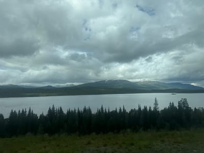 A wide shot captures a serene, natural landscape under a cloudy sky. The scene is dominated by a large, calm body of water, reflecting the subdued light. In the foreground, a dense line of dark green coniferous trees creates a stark silhouette against the water. Beyond the trees and the water, rolling hills covered in more dense forest rise up, eventually giving way to distant mountains. These mountains have patches of white, suggesting snow or bare rock, and their peaks are softened by the overcast sky. A very small, dark island is visible in the middle distance of the lake. The overall impression is one of a remote, untouched wilderness. The lighting suggests it is daytime, likely late afternoon or early evening, given the muted light and the dramatic clouds. The weather appears to be overcast or partly cloudy, creating a somewhat moody atmosphere. There is no visible text in the image.