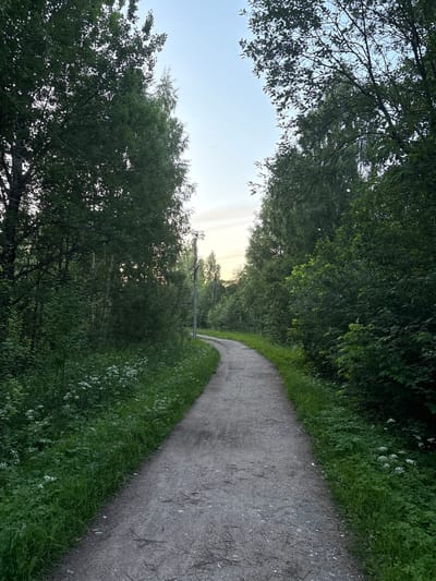 The image depicts a rural pathway curving through a dense forest on a clear day. The pathway, made of gravel, is flanked by lush green grass and abundant trees. Sunlight filters through the canopy, illuminating the scene with a soft glow. The time of day appears to be either early morning or late afternoon, as suggested by the gentle lighting and the serene atmosphere. The location, identified as Kuvshinovo, Russia, evokes a sense of tranquility and natural beauty. The image captures a peaceful moment, free from any human presence or discernible activity, emphasizing the untouched and serene environment. There are no visible text elements in the image.