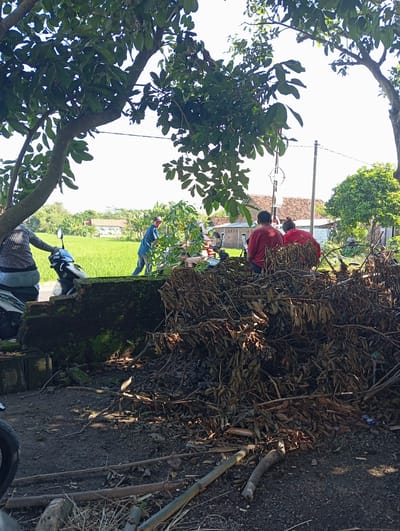 The scene is located in Waung, Indonesia. Two individuals wearing red shirts are working amidst a large pile of dry leaves and branches. A third person is visible in a blue outfit near a lush green field. A motorcycle is parked nearby. The environment includes a mix of rural elements like rice fields and overgrown foliage, juxtaposed with the presence of utility poles and residential buildings in the background. A tree occupies the left side of the image.