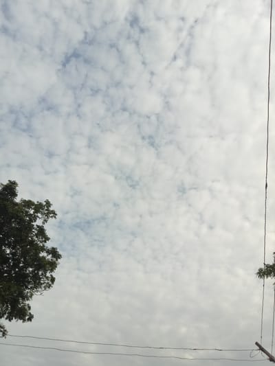 The image depicts an outdoor scene in Karshi, Nigeria, dominated by a cloudy sky. In the lower left quadrant, the dark green foliage of a large tree is visible, extending upwards into the frame. Two horizontal wires are stretched across the lower portion of the image, running from left to right. On the far right edge of the image, a thin, dark vertical line, likely a utility wire, descends from the top. Another tree branch with green leaves is visible on the far right, near the top. The clouds are scattered and appear to be thin, allowing some patches of lighter sky to show through. There are no people or animals present in the image.