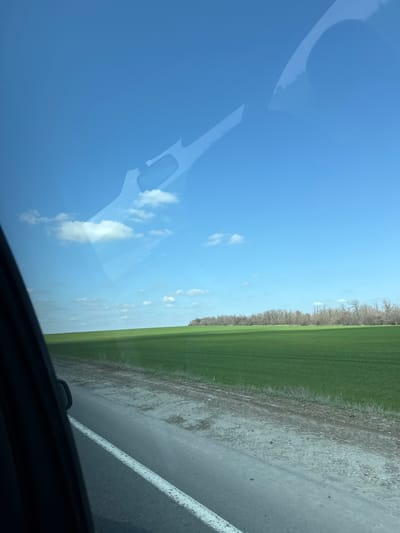 The scene depicts a rural landscape viewed from a moving vehicle in Nadezhda, Russia. The sky occupies the upper two-thirds of the frame, a clear light blue with scattered white cumulus clouds. The lower third features a vast, verdant green field, likely an agricultural crop, extending from the foreground to a distant, flat horizon line. Towards the right side of the horizon, a dense line of leafless deciduous trees is visible. In the immediate foreground, a paved road with a solid white line marking the shoulder is visible, alongside a dirt or gravel verge. The left side of the image shows the dark interior structure of the vehicle, specifically part of a door frame and a reflective surface, possibly a window or part of the dashboard, which casts reflections of the vehicle's interior onto the window. No individuals or specific actions are discernible within the visible landscape. The environment is characterized by open fields, a road, and distant trees, under bright daylight conditions.