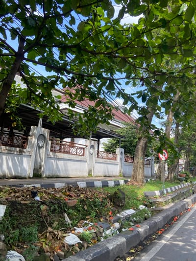 The image shows a street scene in Cimahi, Indonesia. The view is taken from the sidewalk, looking down a street. A large tree with green leaves obscures the view of the buildings across the street. The street is lined with trees and a white concrete wall. The wall is topped with a metal railing and has a small red tile roof. The sidewalk has a black and white curb. There is a ditch between the curb and the street. The ditch is filled with dirt and leaves. There are scattered orange flowers on the sidewalk. The street is paved with asphalt and has a slight curve. There are power lines strung along the top of the trees and buildings. The image was taken in a residential area. The coordinates are -6.872 latitude and 107.541 longitude.