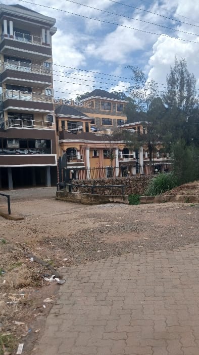 The image depicts an outdoor urban environment within Kisii Central ward, Kenya. The foreground features an uneven, unpaved reddish-brown dirt and gravel area on the left, containing dry vegetation and scattered litter including paper and plastic fragments. A dark, L-shaped metal fixture is partially visible on the far left. To the right, the ground transitions into a grey interlocking concrete paver pathway.
In the mid-ground, a low stone wall with a dark metal railing runs horizontally across the frame, acting as a boundary. Behind this wall, a dark vertical pole-like object is visible.
The background is dominated by several multi-story buildings beneath a partly cloudy blue sky. The leftmost structure is a tall, approximately five-story building characterized by a brown and light-colored facade, balconies with glass railings, and prominent white architectural columns on its upper levels. The ground floor of this building appears recessed and open, revealing structural pillars. To its right, a complex of multi-story buildings with varied architectural styles is present, including structures with brown/tan facades, white columns, balconies, and dark-framed windows. Further right and higher up, another building with a stone-like facade is visible. Scattered green trees and shrubs are situated behind and to the right of these buildings. Multiple parallel black power lines traverse horizontally across the upper portion of the sky, above the structures. No individuals are present within the scene.