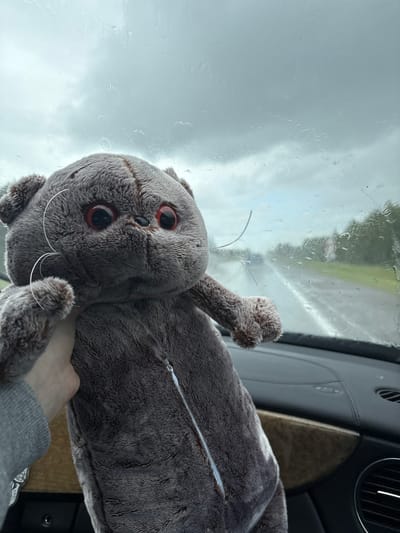 A plush grey cat toy with red eyes and white whiskers is held by a person's hand in the passenger seat of a car. The cat is positioned in front of the car's windshield, which is covered in raindrops. Outside the windshield, a road is visible stretching into the distance, with trees and greenery lining the sides. The sky is overcast and grey, indicating rainy weather. The car's interior is visible, with a wooden dashboard trim and part of the steering wheel. The scene suggests the car is in motion on a road, possibly in the rural area of Гацукоўскі сельскі Савет, Belarus, given the time of year and weather conditions.