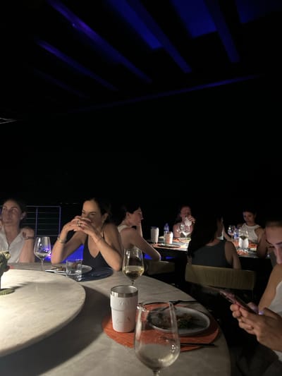 The image shows a group of people dining at an outdoor restaurant in Playa Herradura, Costa Rica, at coordinates 9.658 latitude and -84.673 longitude. The scene is dimly lit, with the only light source coming from the string lights overhead. The people are seated around a round table. A woman, wearing a black tank top, is sitting at the table, looking down and holding her hands near her face. She is seated next to another woman in a white top, who is looking at a man in a blue shirt sitting at the table to her right. Another woman, in a white dress, is sitting at the table and looking up at the man. A person, wearing a black shirt, is sitting on the left of the table, with their back turned to the camera, while looking at their phone. Behind the seated people, a young woman in a black tank top is looking at her phone. Two glasses of wine are on the table in front of the woman in the black tank top. A white Yeti Rambler cup is on the table next to the wine glasses. A plate with food is next to the cup. An empty plate is on the table in front of the woman wearing a white top. A bottle of wine and several glasses are on a table to the right of the scene. The restaurant is a rustic, open-air space with a view of the water. The table is made of wood and the chairs are wicker. There are several plants in the background.