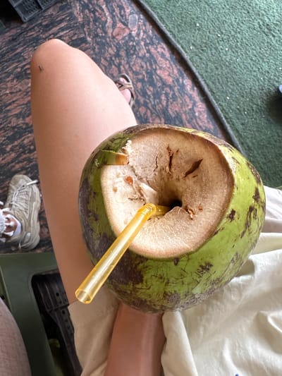 A close-up, high-angle shot captures a person holding a freshly opened green coconut with a yellow straw inserted into it, likely in Pushkar, India. The coconut is cut open at the top, revealing its fleshy interior and natural markings. A person's leg and thigh are visible in the frame, along with a portion of their arm holding the coconut. The person is wearing a tan shoe with white laces. The background shows a mottled brown surface and a green carpet-like material. A small insect is visible on the person's leg. The scene suggests a casual setting, possibly a cafe or outdoor seating area.