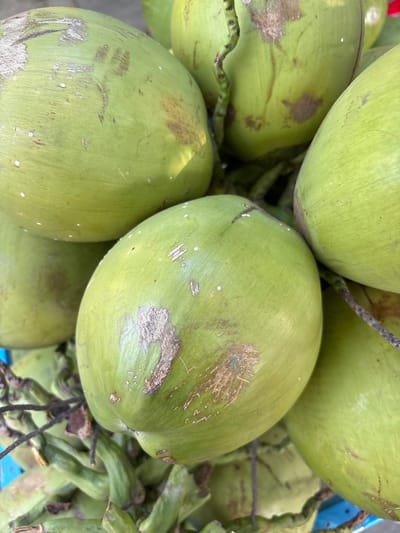 A close-up shot shows a pile of green coconuts, some with brown blemishes and scratches on their surface. A few of the coconuts have stalks attached. The scene appears to be outdoors, possibly at a market stall in Vĩnh Lương, Vietnam, suggested by the vibrant green color of the coconuts, a common sight in tropical regions. The lighting suggests it is daytime.