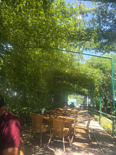 The image depicts an outdoor dining area with tables and chairs set up under a dense canopy of green foliage, likely a vine-covered pergola. The scene is located in the city of Kasan, Uzbekistan. Several tables, made of a light-colored woven material with glass tops, are visible, each accompanied by matching chairs. Some tables have napkins or other small items on them. Sunlight filters through the leaves, creating dappled shadows on the ground. In the foreground, on the left side, a person wearing a maroon shirt is partially visible, seated at one of the tables. Further down the walkway, other individuals can be seen seated at tables, suggesting a functioning restaurant or cafe. The overall environment is lush and green, with the foliage creating a natural, shaded enclosure. The walkway appears to be paved with concrete. Trees and other vegetation are visible beyond the covered area, indicating a natural or park-like setting within the city.