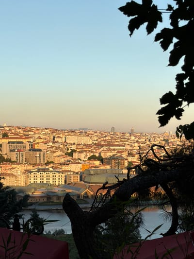 A high-angle, wide shot captures an expansive cityscape, likely Eyüpsultan, Turkey, bathed in the warm, soft light of late afternoon or early morning. The sky is a gradient of pale blue, transitioning to a soft yellow near the horizon, suggesting a sunrise or sunset. In the foreground, the silhouettes of tree branches, some gnarled and exposed, frame the scene, with dark, lobed leaves on the right and finer pine needles on the left. In the lower left and right corners, the red tops of what appear to be outdoor seating or structures are visible, partially obscured by foliage and branches.
Beyond the immediate foreground, the densely packed urban landscape unfolds. A multitude of buildings with red-tiled roofs and light-colored facades stretch across the visible area, interrupted by a body of water. The architecture is varied, with some modern, multi-story buildings featuring numerous windows, interspersed with older, more traditional structures. The water, reflecting the sky and surrounding buildings, adds a serene element to the scene. Further in the distance, the city continues, with taller, modern buildings visible on the horizon, hinting at the scale of the urban area. The overall impression is one of a bustling city viewed from a peaceful, elevated vantage point, with nature elements creating a sense of depth and framing.