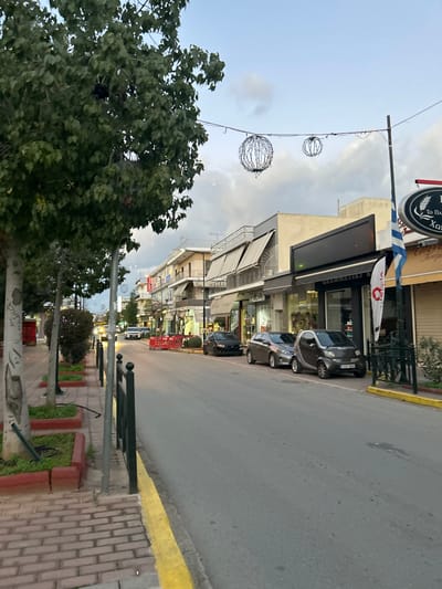 The image captures a street scene in Koridallos, Greece, depicting a row of buildings, a street, and a sidewalk, likely in the late afternoon or early evening under an overcast sky.
In the foreground on the left, a large, leafy green tree dominates a significant portion of the frame. Above the tree and extending across the sky, two spherical, cage-like decorative lights hang from overhead wires, suggesting a festive or ornamental street design.
Along the right side of the street, several multi-story buildings house commercial establishments, featuring awnings and large storefront windows. Multiple cars are parked along the curb in front of these shops, including compact vehicles.
The sidewalk in the lower right and foreground is paved with reddish-brown bricks and features planters with red borders containing small shrubs or ground cover. A dark pole with rounded tops stands upright on the sidewalk. The asphalt road runs alongside the sidewalk, separated by a distinctive yellow curb.
Visible text includes partial words on a round sign for a business, possibly a bakery or grocery, which displays a wheat stalk symbol. The words "Το Πα..." and "Χο..." are discernible, along with "ΥΓΕΙΑ" (Hygeia, meaning "Health") below it. Other shop signs are present but their text is not clearly readable.
The scene appears calm and devoid of active human presence, highlighting the urban infrastructure, parked vehicles, and decorative elements of the street.