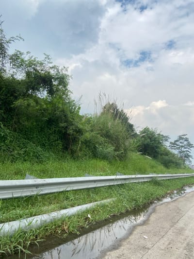 The image shows a roadside in Margaasih, Indonesia, located at latitude -6.966 and longitude 107.542. A silver guardrail runs along the edge of a grassy embankment, separating the road from a patch of vegetation. The vegetation consists of green grass, shrubs, and tall stalks of dried grass. A shallow puddle of water lies in the ditch beside the guardrail. The sky is overcast with white clouds against a backdrop of blue. There are no people or vehicles visible in the image. The scene is tranquil and uneventful.