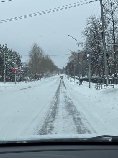 A snowy street view from inside a vehicle. The road is covered in snow with tire tracks visible. Trees line both sides of the street, their branches laden with snow. A few streetlights are present. At the nearest traffic light, the light is red. The sky is overcast and gray. A vehicle is visible in the distance. The image appears to be taken through a window.