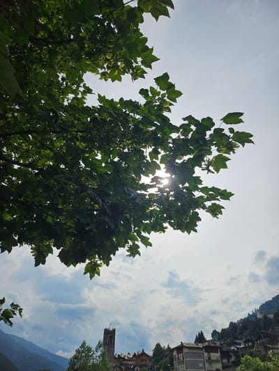 The image captures a view from under a leafy tree, looking towards a town nestled in a valley. The sun is partially obscured by the tree's branches and leaves, creating a lens flare effect. In the distance, a tall, stone bell tower stands prominently, a classic architectural feature of a European town. Several buildings, with tiled roofs and varied facades, are visible on the hillside, suggesting a residential area. The sky is partly cloudy, with hints of blue peeking through. The overall impression is one of a serene, picturesque village scene in the Italian Alps, possibly Ponte di Legno given the architectural style and mountainous backdrop. There are no people or animals visible in the frame.