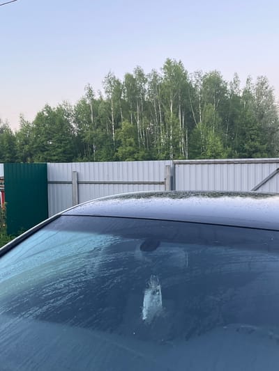 An exterior shot shows a wet car windshield and roof with water droplets, reflecting the sky and trees. Behind the car, a silver corrugated metal fence runs horizontally, with a section of dark green corrugated metal fence visible on the left. Beyond the fence, a dense line of green trees, primarily deciduous with some evergreens, forms the background. The sky above is a pale, clear blue. The image appears to be taken in Vasilyevo, Russia.