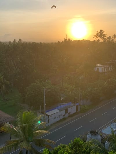 This media file captures a vibrant sunset scene in Kabalana, Sri Lanka, viewed from an elevated perspective. The setting is a tropical coastal area, characterized by abundant palm trees and dense foliage. A paved road runs through the scene, bordered by buildings and vegetation.
The dominant subject is the striking sunset, casting a warm, golden-orange glow across the sky and landscape. The sun itself is a brilliant, luminous orb, partially obscured by palm trees. The sky is hazy, typical of sunset conditions, with a soft, diffused light.
In the sky, a bird of prey, possibly a kite or hawk, is captured in mid-flight on the left side of the frame, adding a dynamic element to the scene.
Along the road, several objects are visible. One is a long, white truck or bus with blue trim. Text on the side of this vehicle reads "CAFE CEYLON" and "CEYLON", indicating a cafe or food service business. Further down the road, a white building with a blue roof is situated, possibly another business or a small structure. There are also utility poles and electrical wires crisscrossing the scene, suggesting an inhabited or developed area. A large, grey water tank or similar structure is positioned near the roadside.
The overall mood is tranquil and picturesque, evoking the serene beauty of a tropical evening. The lush greenery and the dramatic sunset create a sense of natural splendor. The presence of the road and buildings suggests a balance between the natural environment and human infrastructure. The time of day is clearly sunset due to the strong orange hues and low angle of the sun. The weather appears clear but hazy.