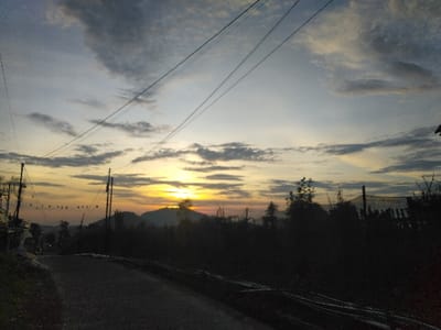 The image presents a rural or semi-rural landscape illuminated by the low light of either sunrise or sunset, casting a golden hue on the horizon. The sky, occupying the upper two-thirds of the frame, displays a gradient from bright golden-orange near the horizon to a lighter blue-gray higher up, with scattered altocumulus and stratocumulus clouds. Multiple dark, thin utility wires traverse the sky, crossing from the upper left to the upper and mid-right.
In the lower portion of the image, a dark, unpaved road or path curves gently towards the left, receding into the distance. To the immediate left of the road, several dark utility poles with visible insulators and crossarms rise into the frame, supporting additional overhead wires. Further left, indistinct dark vegetation and structural elements are present. The right side of the foreground and midground is densely covered by dark, silhouetted vegetation, including trees and bushes, along with a section of what appears to be fencing or netting.
Centrally in the background, a prominent, dark-silhouetted hill or mountain range is visible, partially obscuring the bright golden sun which rests just above its peak. No human figures or discernible activity are present. The specific location within the city of Trondheim, Norway, cannot be determined from the visual evidence provided in this image.