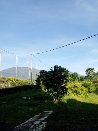 A daytime outdoor view captures a landscape with a backdrop of hills against a light blue sky. A power line runs across the upper portion of the frame.

In the midground, a small, leafy tree stands prominently on a grassy area. To the left, a net supported by white poles spans the background, partially obscuring a hill. Various shrubs and trees are scattered around the midground.

In the foreground, a cracked stone path leads into the scene, partially shadowed. The grass is lush and green, with areas of shade and sunlight.

The image is taken in the city of Kudawa, Sri Lanka.