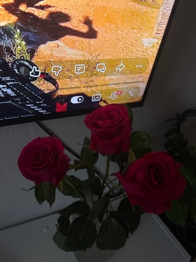 A close-up, indoor shot shows a vase with three dark pink roses in the foreground, with dark green leaves and stems. Behind the roses, a television screen displays a video game with a desert landscape and various user interface elements, including a play button, a share icon, and a settings gear. The word "FLAVOUR TRIP" is visible on the screen in a stylized font. The scene is lit by ambient light, creating shadows and a generally dark mood. The background consists of a white wall and a dark plant. No specific location in Zheleznogorsk, Russia can be determined from the image.