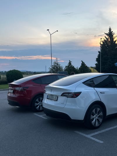 An outdoor scene captures a parking lot in Momkovo, Bulgaria, during twilight hours, likely sunset, characterized by soft, ambient light. The sky transitions from a pale blue at the top to a light white-pink and subtle orange hue near the horizon on the right, with scattered grey clouds across the mid-section.
Two Tesla Model Y vehicles are parked facing away from the viewer on a dark grey asphalt surface marked with white parking lines. The car on the left is a dark red Model Y, its rear and left side visible. It displays a Bulgarian license plate reading "EA 8899 AE". The car on the right, positioned closer to the foreground, is a white Model Y, revealing its rear and right side. Its Bulgarian license plate reads "EA 3306 AE" and is framed by "avtosentrum.bg" text. Both vehicles have tinted rear and side windows.
In the background, a person with dark, curly hair is partially visible, standing between the two vehicles and behind the roofline of the white Tesla. A tall, dark grey streetlight pole with a bifurcated fixture stands prominently in the upper center of the image, unlit. On the far right, another streetlight pole is partially obscured by a tall, dark green coniferous tree that extends upwards into the sky.
To the left, behind the red Tesla, a neatly trimmed spherical green bush is visible, backed by a light-colored fence or wall. Further in the distance, gentle rolling hills or low mountains covered in light green vegetation define the horizon. Other scattered trees and bushes, some with sparse foliage, are present in the mid-ground, along with faint indications of utility poles.