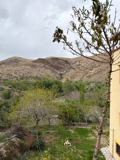A scenic view is captured near Zerkten, Morocco, featuring a rugged mountain landscape meeting a domestic garden. The left of the image shows a beige mountain, with visible strata and sparse vegetation clinging to its slopes under a partly cloudy sky. In contrast, the right side reveals a lush garden connected to a building with a light yellow facade. Green grass and trees interspersed with flowering plants compose this area. A few artificial elements are seen, including what looks like a bird feeder hanging from a tree branch and some fencing. A tree branch is prominently visible in the foreground on the left side, with leaves partially obscuring the view. The entire scene is oriented vertically.