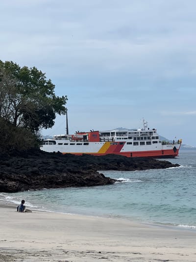 In Manggis, Indonesia, a child sits on a sandy beach, facing a body of water. The child is positioned on the left side of the frame, near the water's edge, and appears to be playing with sand. The beach transitions from light sand to darker, rocky terrain along the left side of the image, where a cluster of trees stands. The water is a clear, light blue with small waves lapping at the shore. In the background, a large ferry with orange and white coloring is visible on the water, moving away from the shore. The ferry has the name "CAITLYN" written on its side. The sky above is overcast with a pale blue hue. The scene depicts a serene coastal environment with a clear view of the ocean and a passing ferry.
