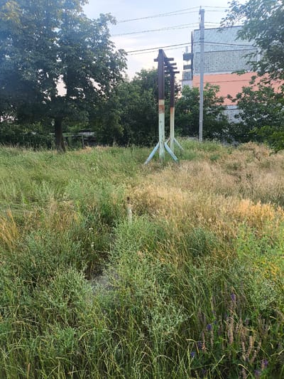 This image depicts an outdoor scene with a focus on an overgrown field. In the foreground and mid-ground, tall, dense grass and various weeds dominate the landscape, some appearing dry and golden, others a vibrant green. Scattered throughout the vegetation are small purple flowers. In the mid-ground, a rustic metal structure, possibly an old pole or support, stands with diagonal bracing at its base. Behind this structure, a modern building with a tiled facade and orange accents is visible, partially obscured by trees. To the left, a large tree with dense foliage stands, its branches reaching upwards. A utility pole with wires runs across the upper portion of the image, suggesting an inhabited area nearby. The overall impression is one of a somewhat unkempt, natural environment adjacent to human infrastructure. The lighting suggests it is daytime, possibly late afternoon or early evening, with soft light filtering through the sky, which is visible in patches between the trees and buildings. There is no visible text in the image.