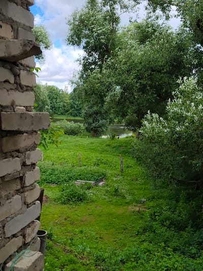 The image depicts an outdoor scene, likely in the Вішнёўскі сельскі Савет, Belarus, focusing on a natural landscape viewed from behind a partial brick wall. The foreground is dominated by the textured, off-white bricks of a wall, with some green foliage visible near its base. Beyond the wall, a lush green grassy area stretches towards a body of water, possibly a river or lake, in the mid-ground. The water is calm and reflects the surrounding greenery and a cloudy blue sky. Dense trees with vibrant green foliage frame the scene, with larger trees in the background and a lighter, more feathery tree on the right side of the frame. There are two wooden posts in the grassy area, and what appears to be a small, weathered wooden structure or bench near the water's edge. The overall impression is one of a serene, natural environment, possibly a rural backyard or a park area.